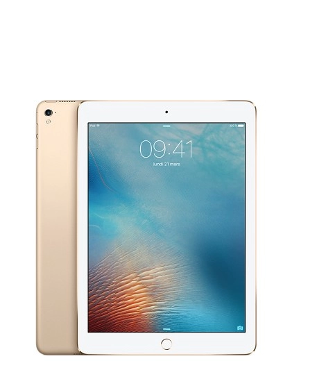 iPad Pro 256GB WiFi Gold