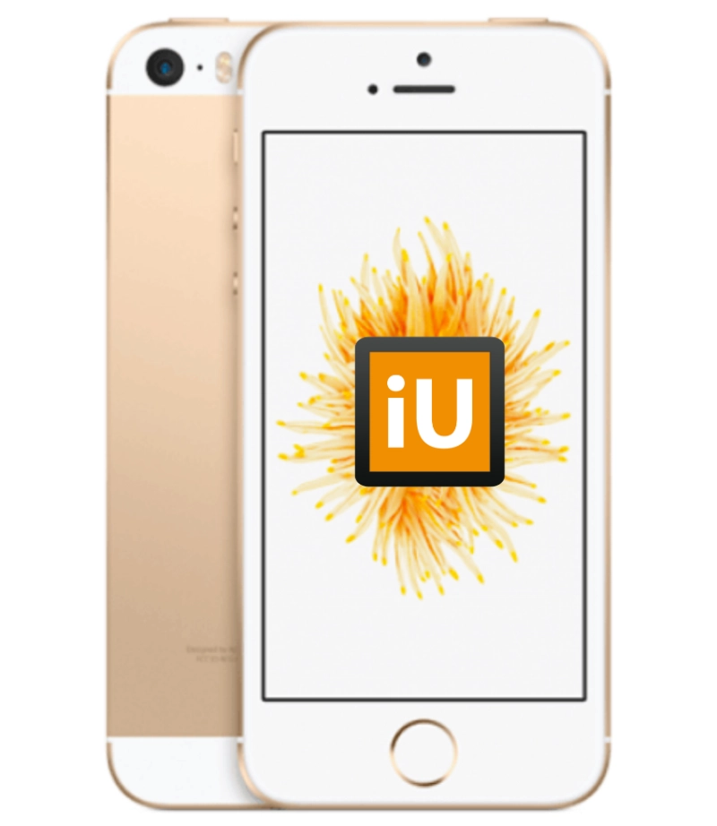 iPhone SE (2016) 64GB Gold